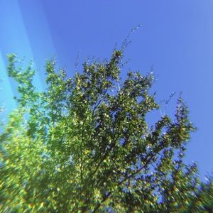 Meet your Posher, Cathy